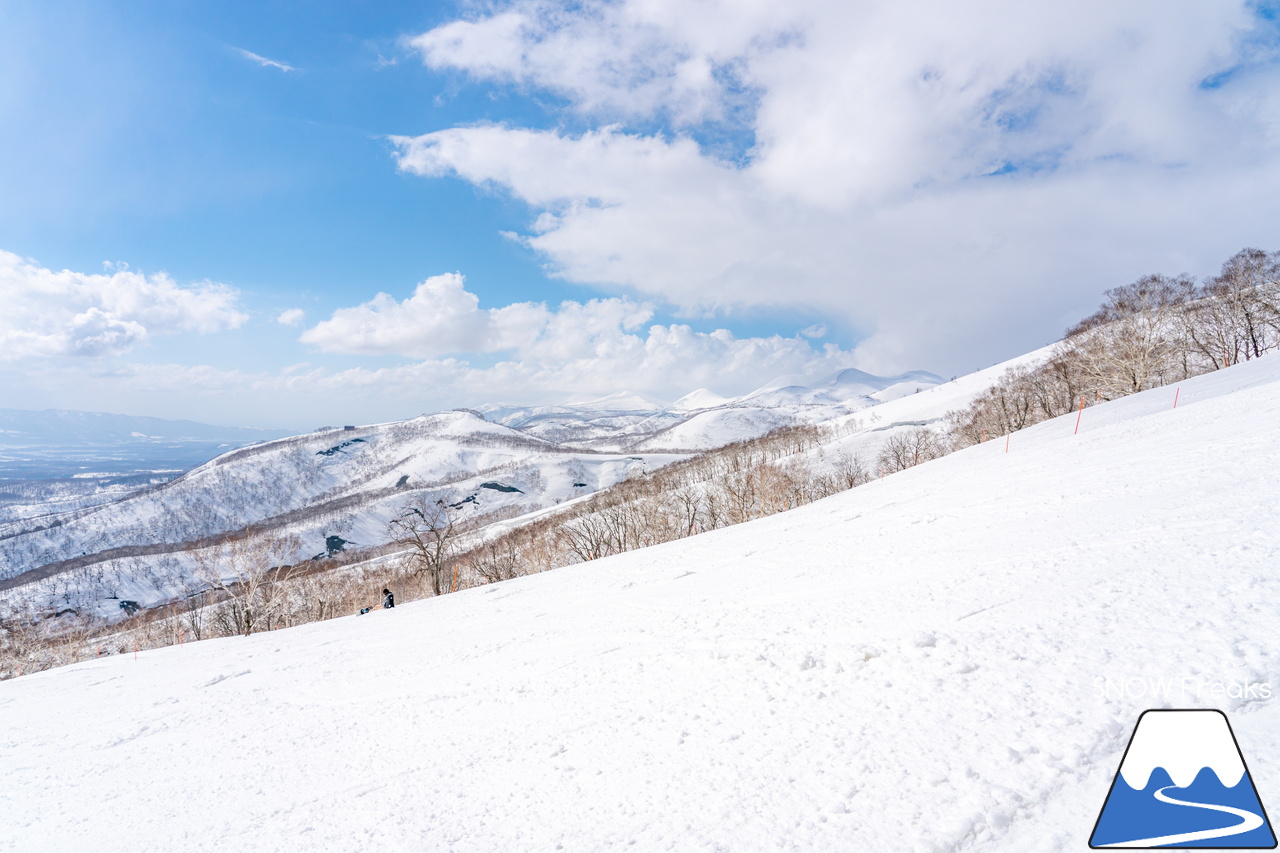 ニセコビレッジ・ニセコアンヌプリ国際スキー場｜さすが『ニセコ』。雪不足や暖気とは無縁？！積雪たっぷりで全面滑走OKです(^^)/